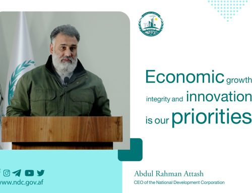 CEO of the National Development Corporation: Economic Growth, Integrity and Innovation Are Our Priorities
