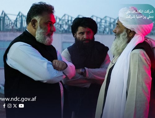 سفر رییس عمومی اجرائیوی شرکت انکشاف ملی به تورخم